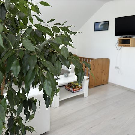Apartment Magdalena Korenica Eksteriør billede