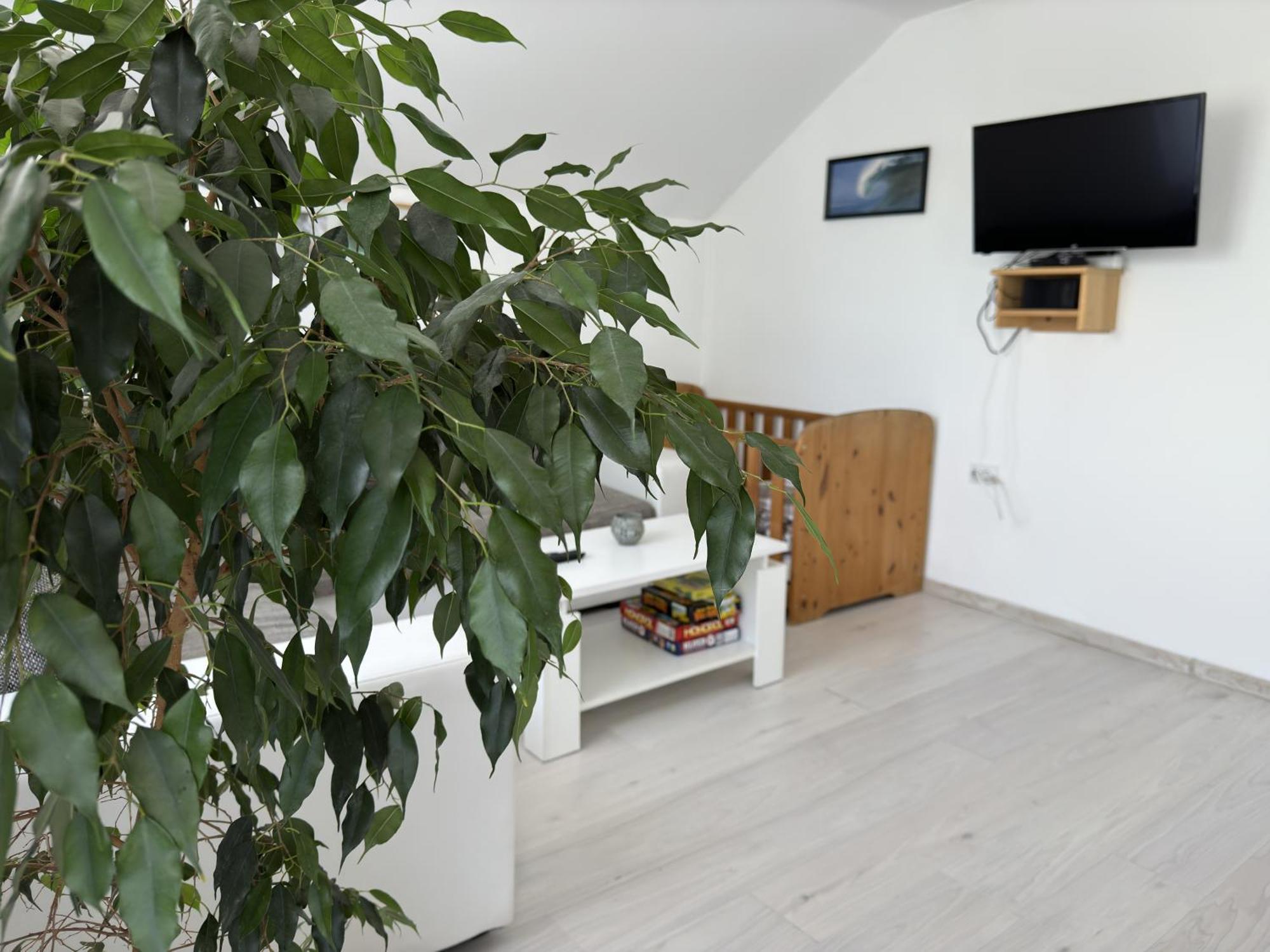 Apartment Magdalena Korenica Eksteriør billede